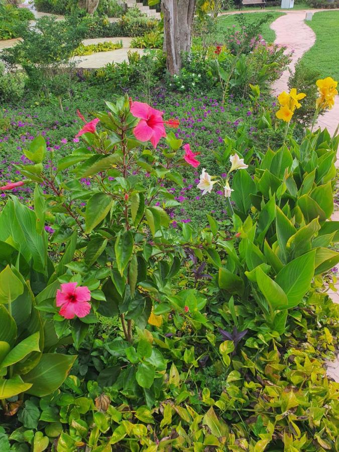 Hacienda Maria Elena Yucatan 호텔 Ticul 외부 사진